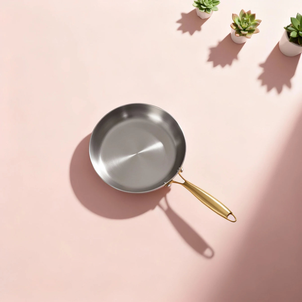 Poêle induction 22 cm vue de dessus, sa surface de cuisson brossée, de petites plantes grasses posées derrière