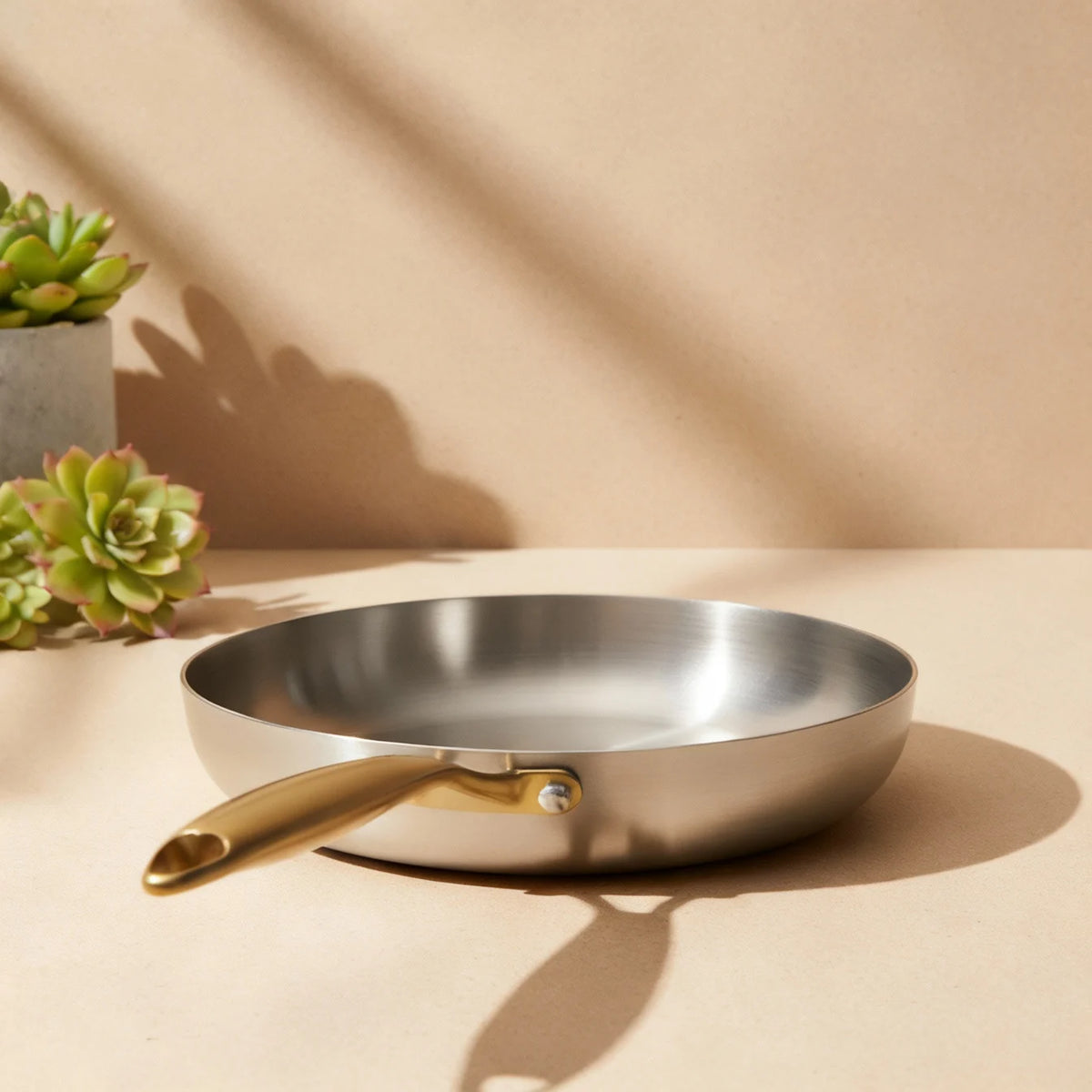 Poêle induction 26 cm vue de dessus, sa surface de cuisson brossée, des plantes grasses posées derrière
